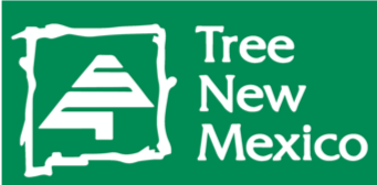 Tree New Mexico