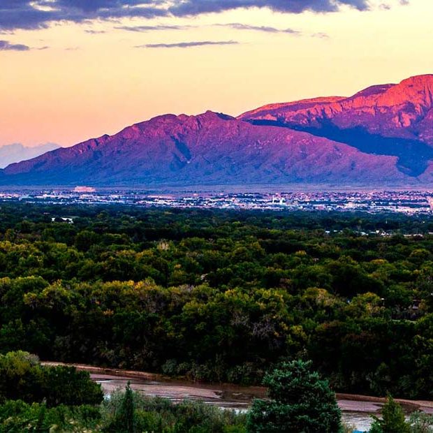 Welcome to Tree New Mexico