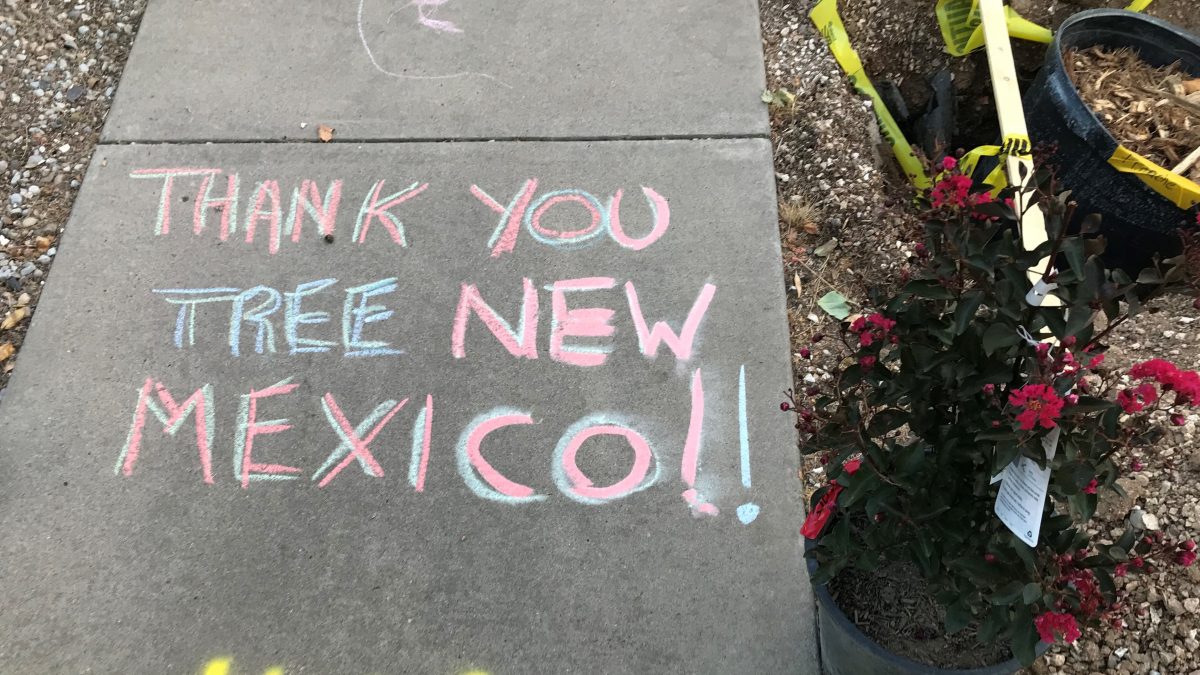 Thank You from Tree New Mexico