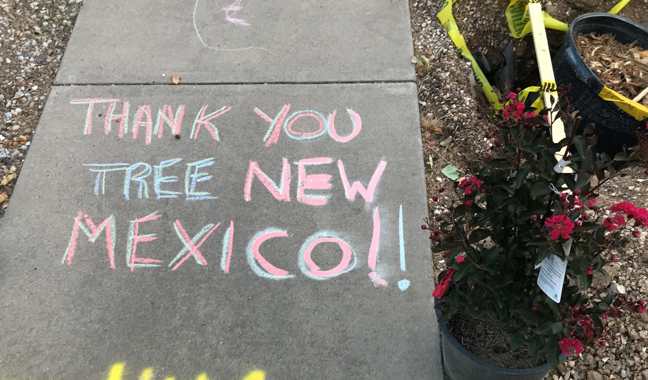 Thank You from Tree New Mexico