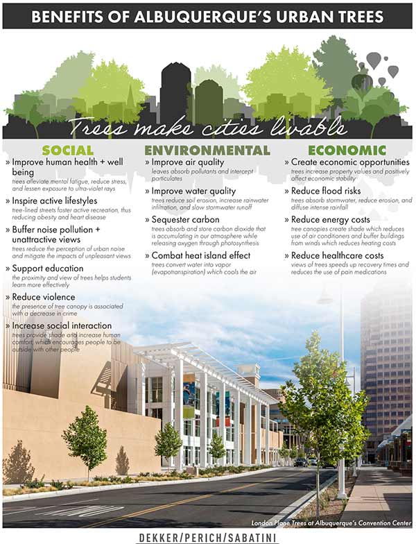 Download Benefits of Trees PDF