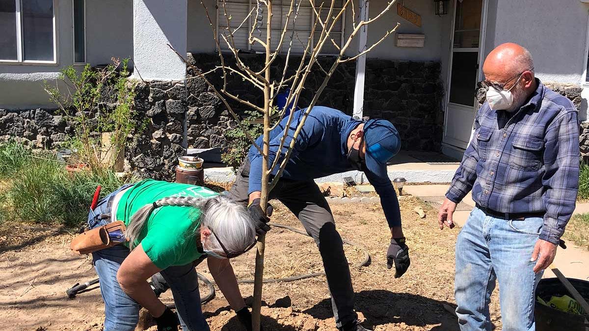 Facebook partners with Tree New Mexico to plant in Los Lunas