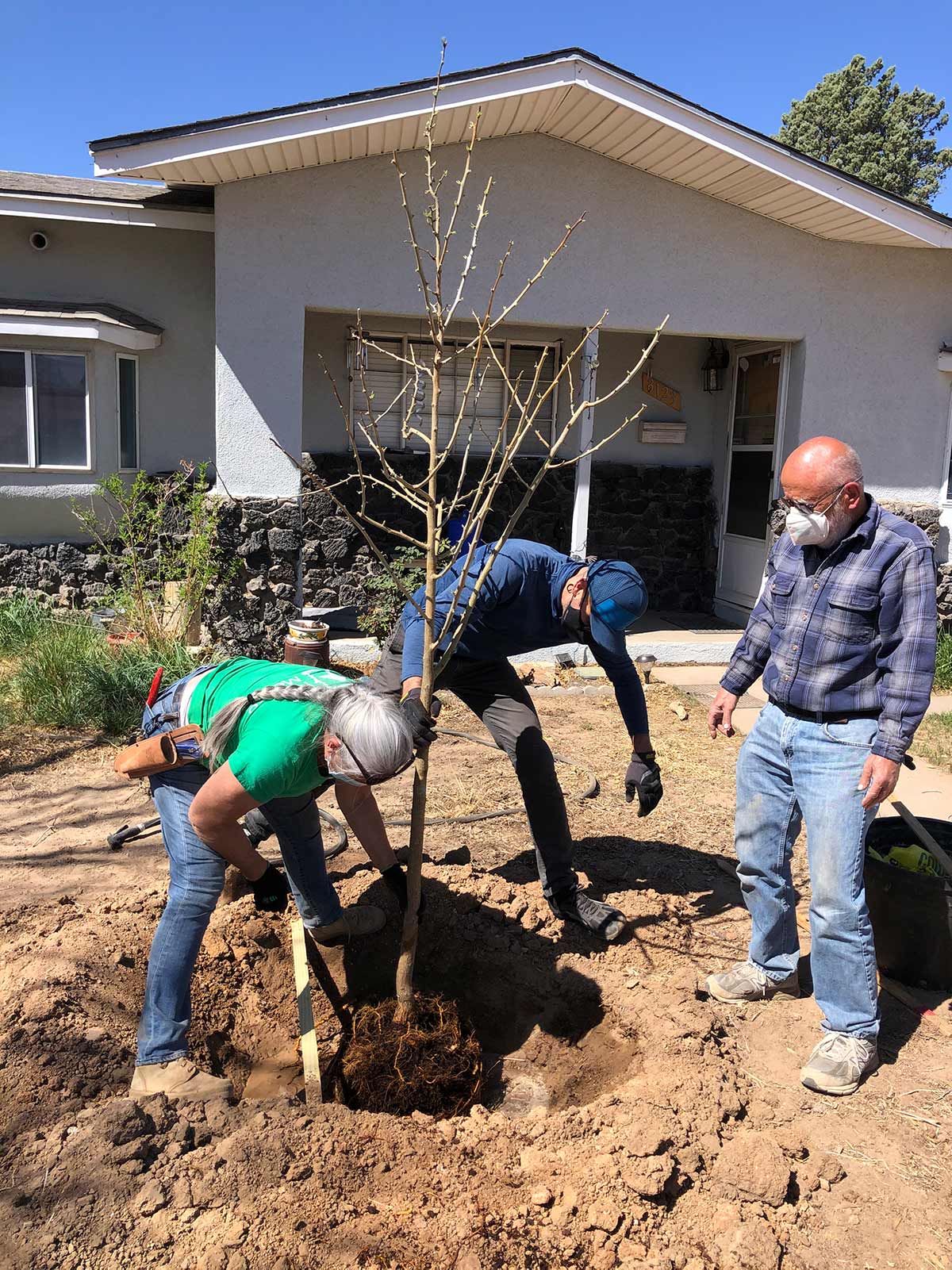 Facebook partners with Tree New Mexico to plant in Los Lunas