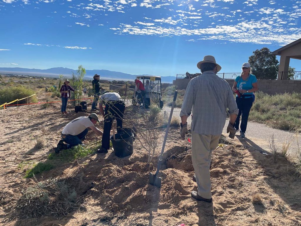 Jubilee Planting