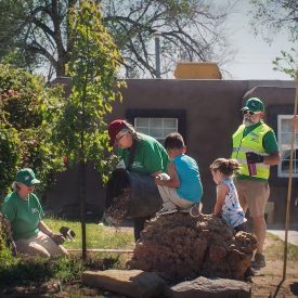 tree planting