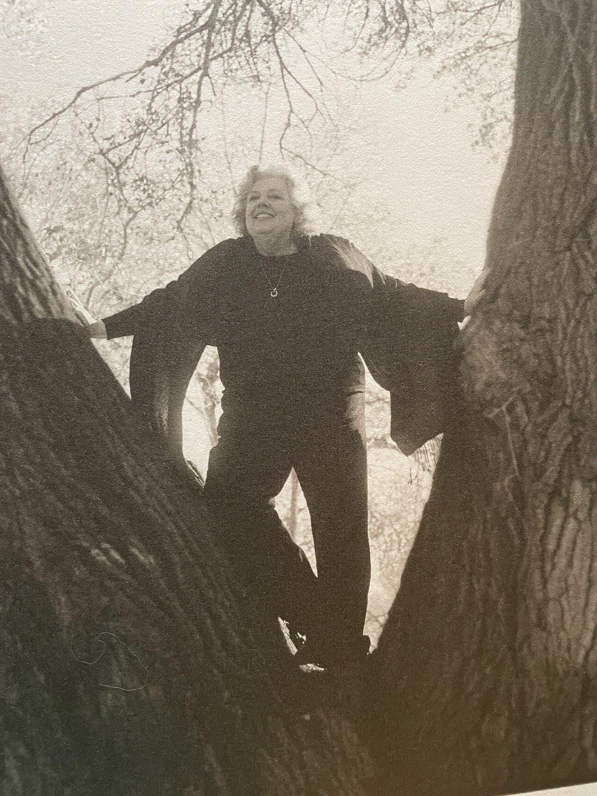 Sue in Cottonwood tree