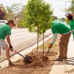 Photo credit: Michael Payton