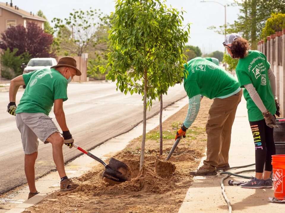 Photo credit: Michael Payton