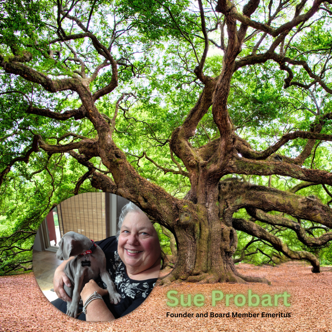 Sue Probart - Founder