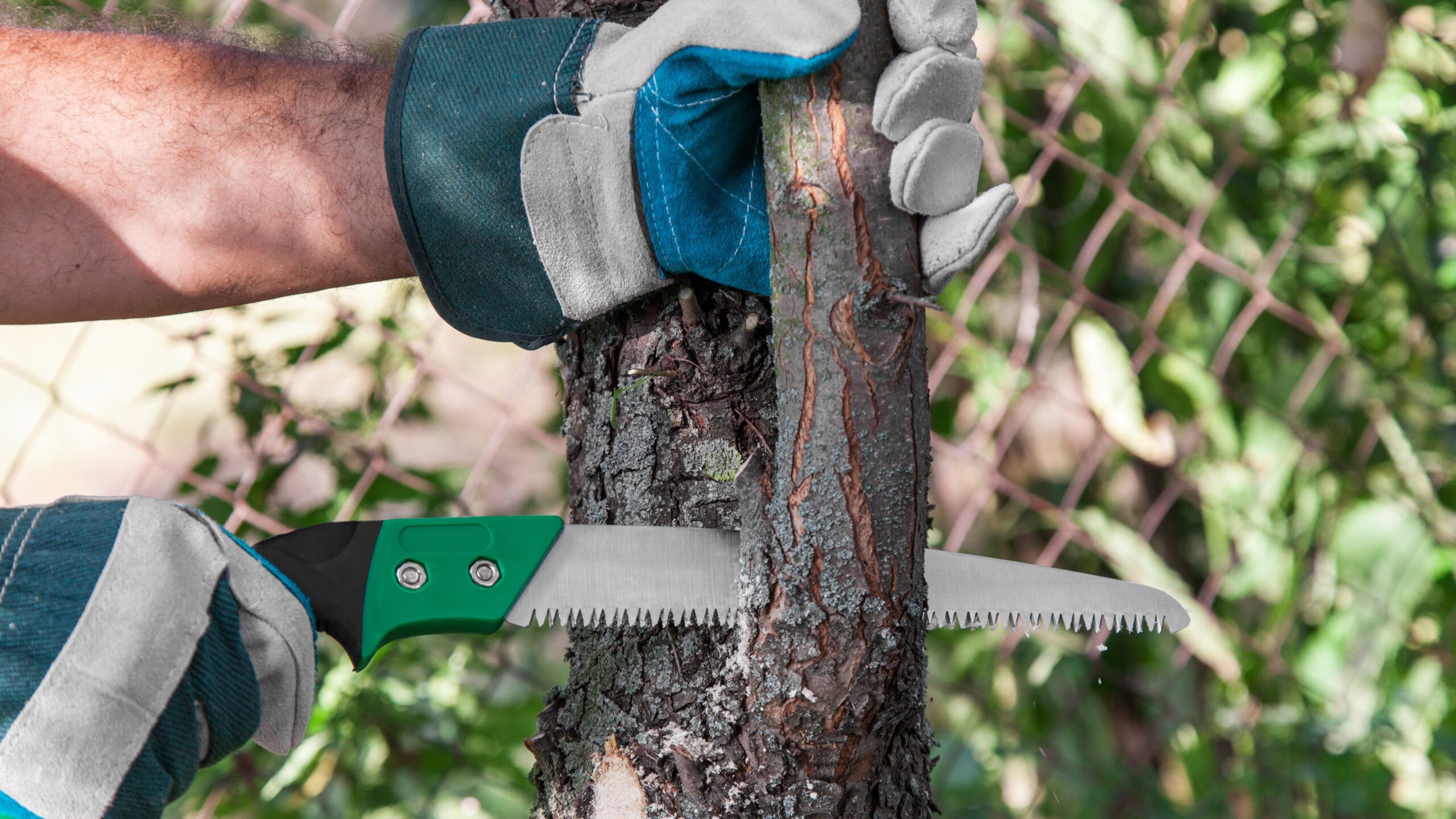 a close up of someone using a handsaw to prune a tree