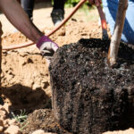 PHOTO COURTESY OF LA MILPA, EARTHCARE 03