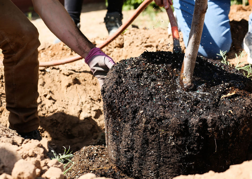 PHOTO COURTESY OF LA MILPA, EARTHCARE 03