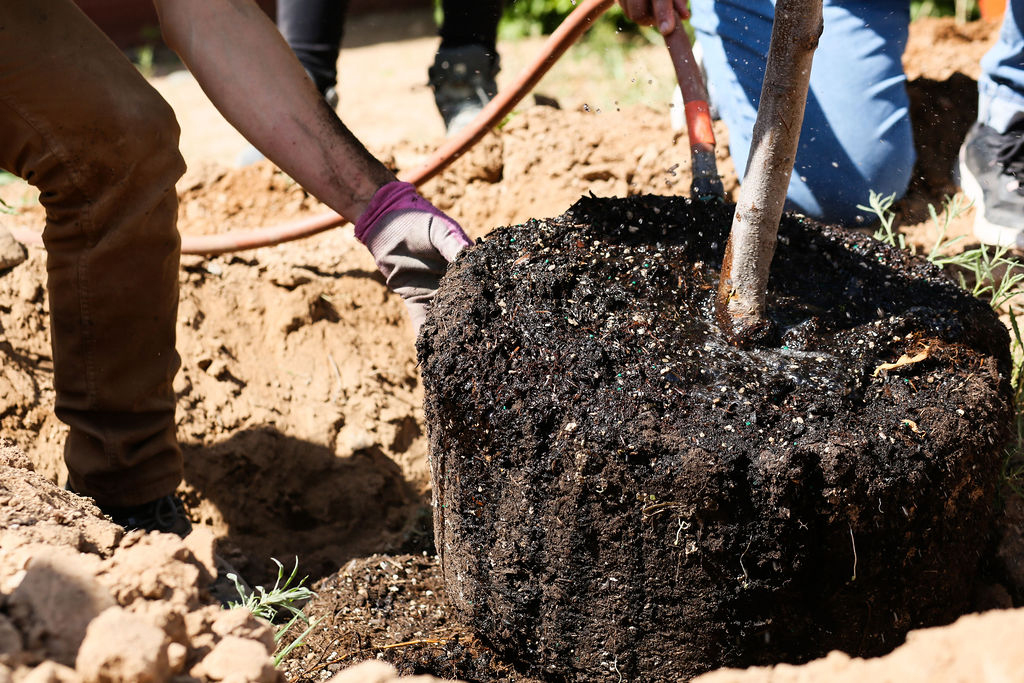 PHOTO COURTESY OF LA MILPA, EARTHCARE 03