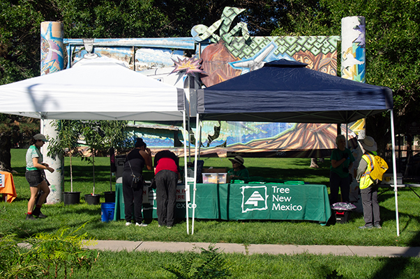 🌳 Upcoming Opportunities with TNM Education 🌳